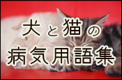 犬と猫の病気用語集