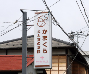 鎌倉の動物病院アクセス経路