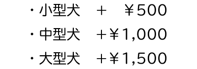オプションのトリートメント料金